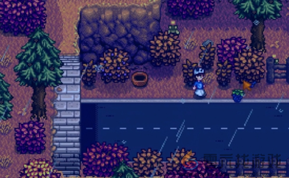 星露谷物语黑莓篮子任务完成方法(图3) 星露谷物语黑莓篮子任务完成方法(图3)