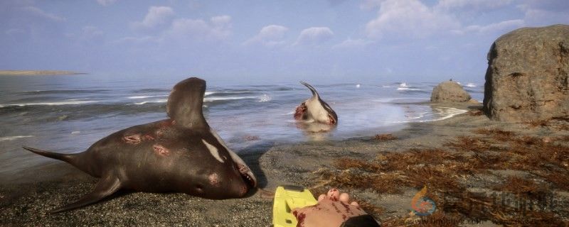 森林之子移动工具代码分享(图1)