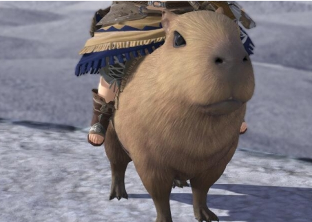 最终幻想14水晶世界梅瓦皮亚拉坐骑获取方法(图5) 最终幻想14水晶世界梅瓦皮亚拉坐骑获取方法(图5)